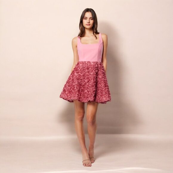 NWT Elliatt Admiration 3D Rose Mini Dress - Picture 5 of 10